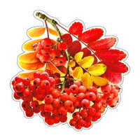 Осенние гроздья рябины А-113-207, 20*20см