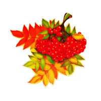 7-65-003 Украшения на 1 сентября - листья и ягоды рябины на скотче