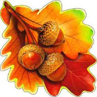 Праздник осени, 1 сентября - листья дуба и желуди на скотче А-113-453
